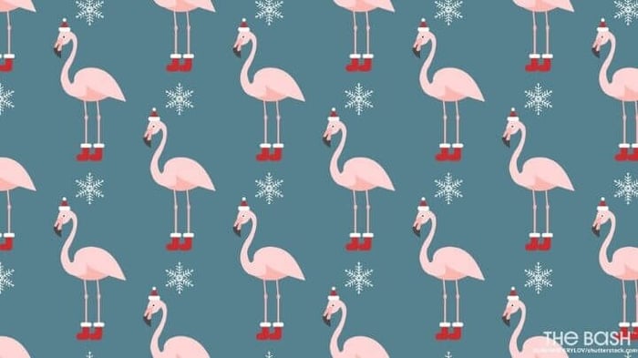Flamingo